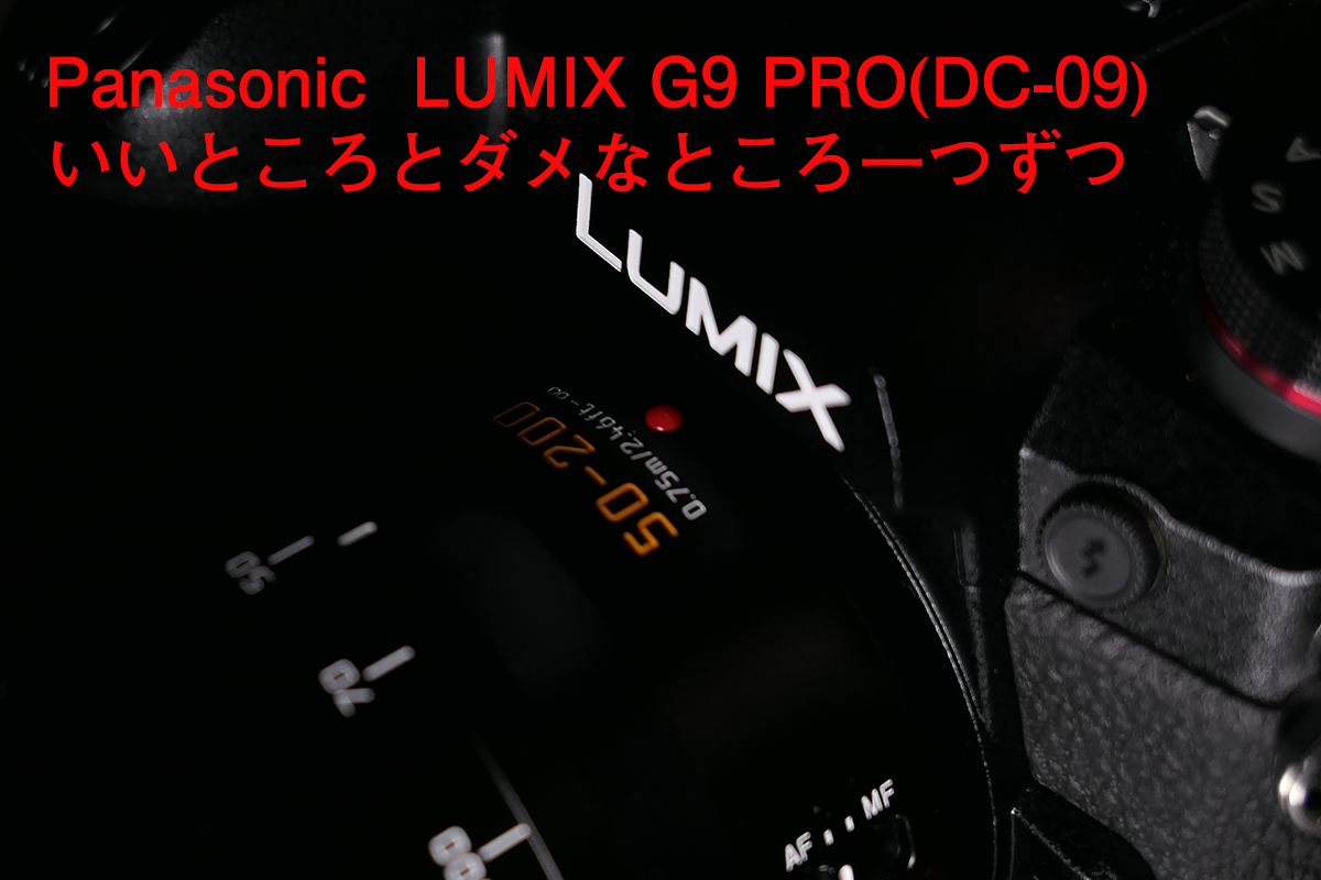 Panasonic Lumix G9 Pro 本体 シャッター数4869 LUMIX G9PROのシャッター回数を調べる方法｜SLOPOND